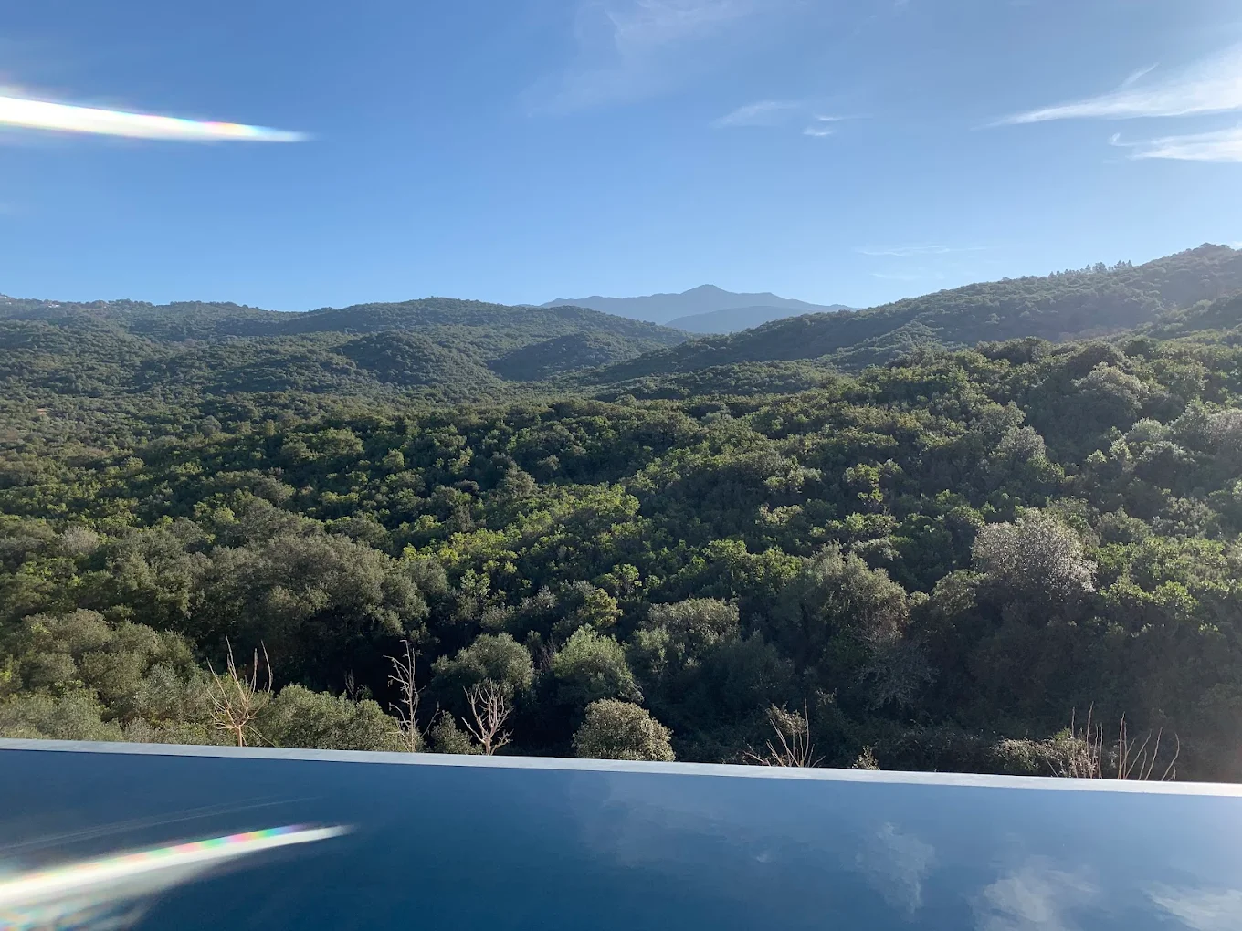 unnamed (8)